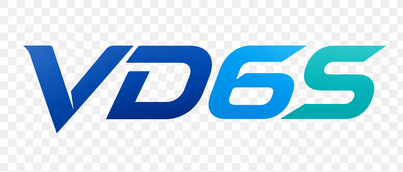 vd6s Logo